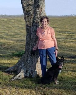 Dorothy Hooks Obituary